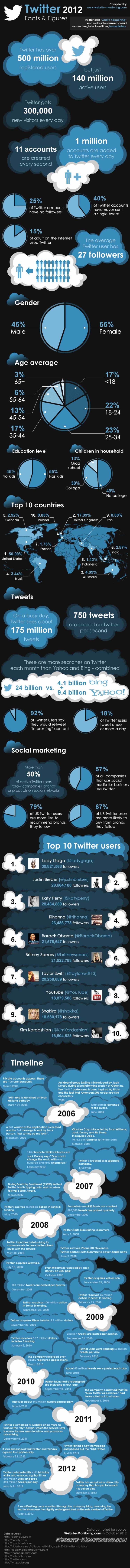 Twitter Stats Infographic